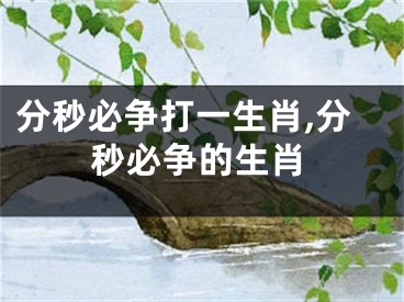 分秒必争打一生肖,分秒必争的生肖