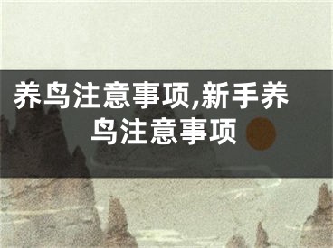 养鸟注意事项,新手养鸟注意事项