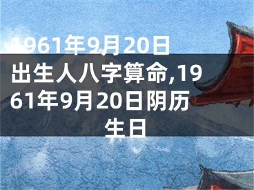 1961年9月20日出生人八字算命,1961年9月20日阴历生日