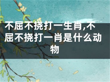 不屈不挠打一生肖,不屈不挠打一肖是什么动物