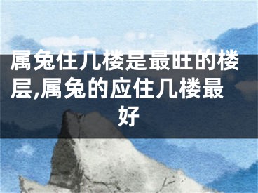 属兔住几楼是最旺的楼层,属兔的应住几楼最好
