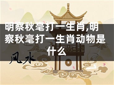明察秋毫打一生肖,明察秋毫打一生肖动物是什么