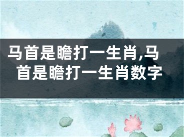 马首是瞻打一生肖,马首是瞻打一生肖数字