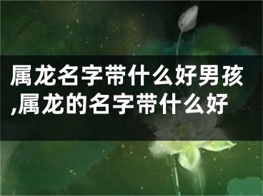 属龙名字带什么好男孩,属龙的名字带什么好