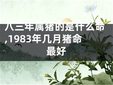 八三年属猪的是什么命,1983年几月猪命最好