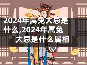 2024年属兔大忌是什么,2024年属兔大忌是什么属相