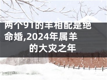 两个91的羊相配是绝命婚,2024年属羊的大灾之年
