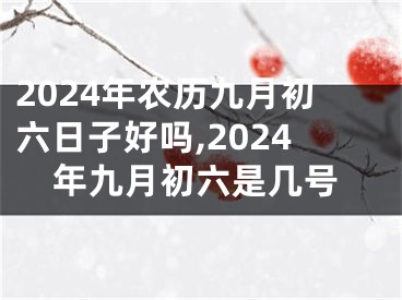 2024年农历九月初六日子好吗,2024年九月初六是几号