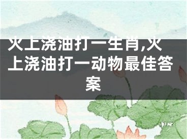 火上浇油打一生肖,火上浇油打一动物最佳答案