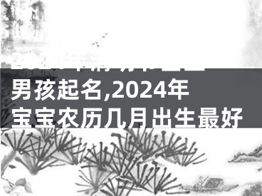 2024年清明节出生男孩起名,2024年宝宝农历几月出生最好
