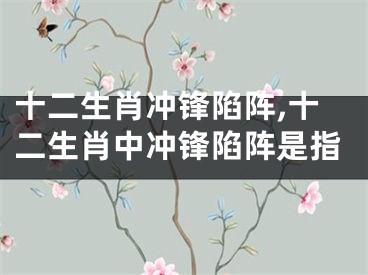 十二生肖冲锋陷阵,十二生肖中冲锋陷阵是指