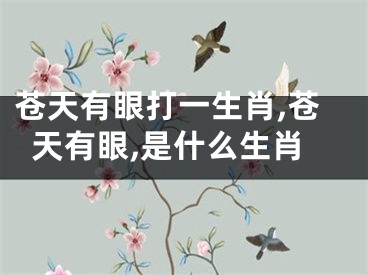 苍天有眼打一生肖,苍天有眼,是什么生肖