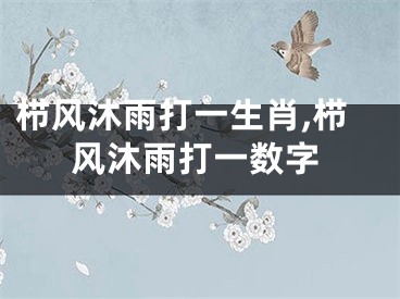 栉风沐雨打一生肖,栉风沐雨打一数字