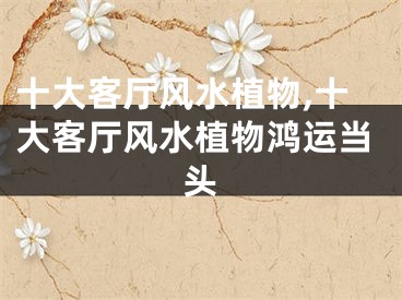 十大客厅风水植物,十大客厅风水植物鸿运当头