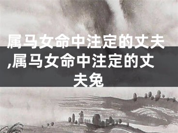 属马女命中注定的丈夫,属马女命中注定的丈夫兔