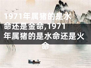 1971年属猪的是水命还是金命,1971年属猪的是水命还是火命