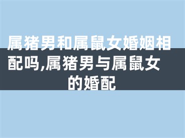 属猪男和属鼠女婚姻相配吗,属猪男与属鼠女的婚配