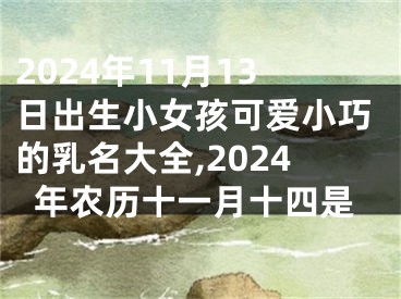 2024年11月13日出生小女孩可爱小巧的乳名大全,2024年农历十一月十四是