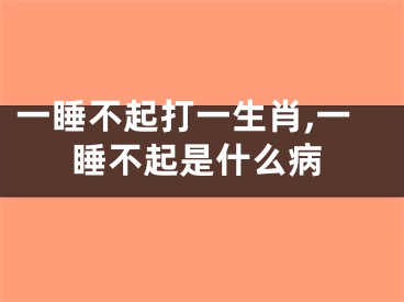 一睡不起打一生肖,一睡不起是什么病