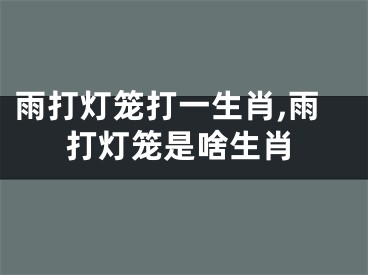 雨打灯笼打一生肖,雨打灯笼是啥生肖