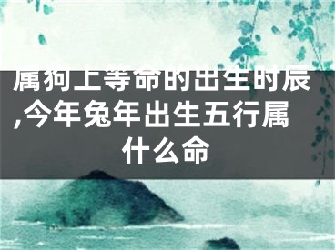 属狗上等命的出生时辰,今年兔年出生五行属什么命