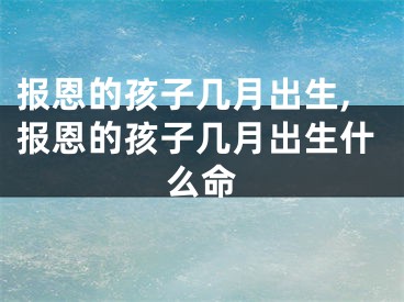 报恩的孩子几月出生,报恩的孩子几月出生什么命