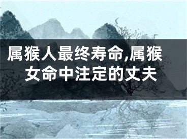 属猴人最终寿命,属猴女命中注定的丈夫