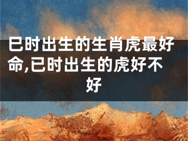 巳时出生的生肖虎最好命,已时出生的虎好不好