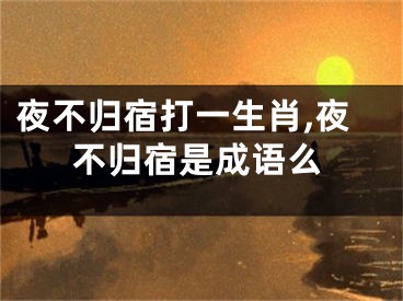 夜不归宿打一生肖,夜不归宿是成语么