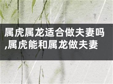 属虎属龙适合做夫妻吗,属虎能和属龙做夫妻