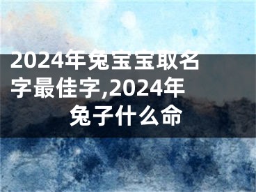 2024年兔宝宝取名字最佳字,2024年兔子什么命