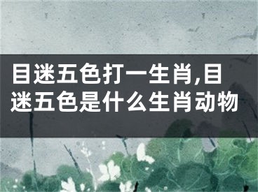 目迷五色打一生肖,目迷五色是什么生肖动物