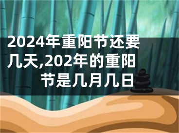 2024年重阳节还要几天,202年的重阳节是几月几日
