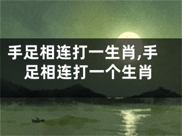 手足相连打一生肖,手足相连打一个生肖