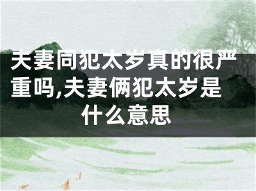 夫妻同犯太岁真的很严重吗,夫妻俩犯太岁是什么意思