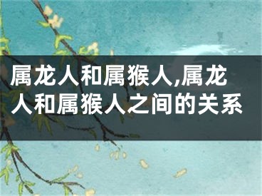 属龙人和属猴人,属龙人和属猴人之间的关系