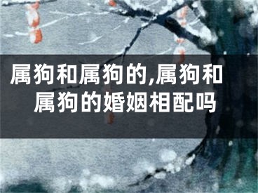 属狗和属狗的,属狗和属狗的婚姻相配吗