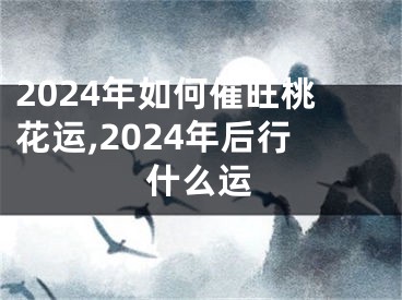 2024年如何催旺桃花运,2024年后行什么运