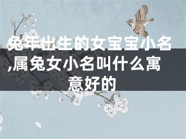 兔年出生的女宝宝小名,属兔女小名叫什么寓意好的