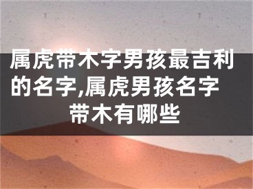 属虎带木字男孩最吉利的名字,属虎男孩名字带木有哪些