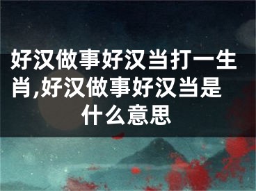 好汉做事好汉当打一生肖,好汉做事好汉当是什么意思