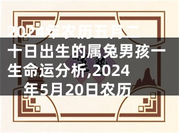 2024年农历五月二十日出生的属兔男孩一生命运分析,2024年5月20日农历