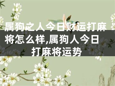 属狗之人今日财运打麻将怎么样,属狗人今日打麻将运势
