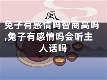 兔子有感情吗智商高吗,兔子有感情吗会听主人话吗