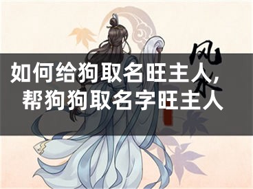 如何给狗取名旺主人,帮狗狗取名字旺主人