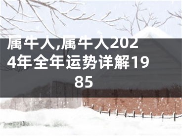 属牛人,属牛人2024年全年运势详解1985