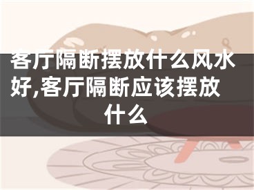客厅隔断摆放什么风水好,客厅隔断应该摆放什么