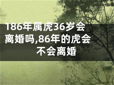 186年属虎36岁会离婚吗,86年的虎会不会离婚