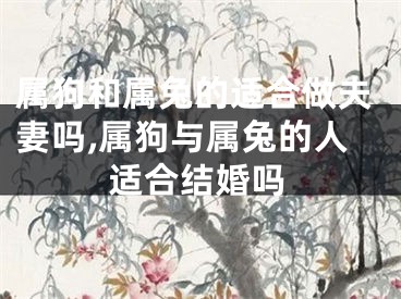 属狗和属兔的适合做夫妻吗,属狗与属兔的人适合结婚吗