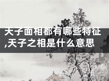 天子面相都有哪些特征,天子之相是什么意思